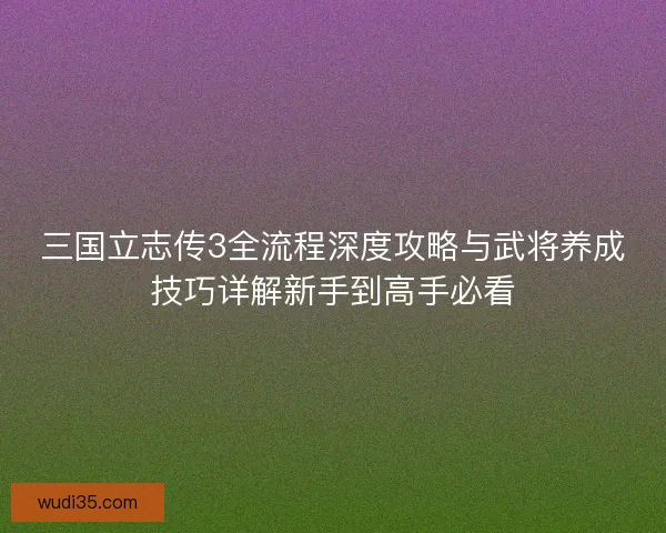 三国立志传3全流程深度攻略与武将养成技巧详解新手到高手必看
