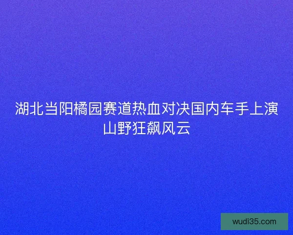 湖北当阳橘园赛道热血对决国内车手上演山野狂飙风云