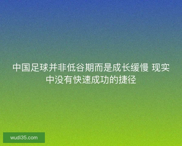 中国足球并非低谷期而是成长缓慢 现实中没有快速成功的捷径
